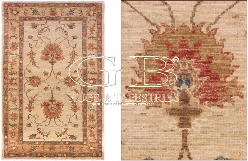 ziegler farahan ziegler farahan