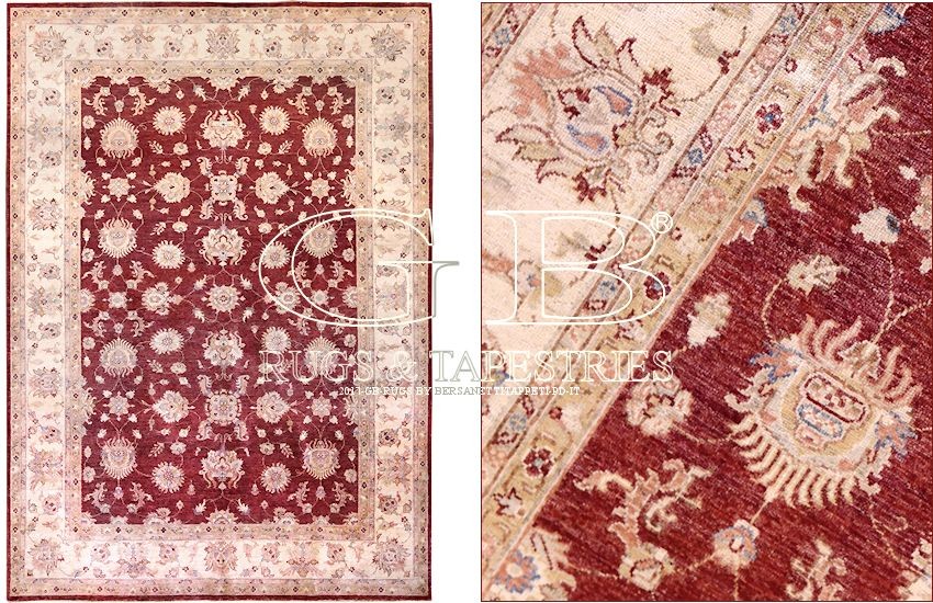 ziegler farahan ziegler farahan