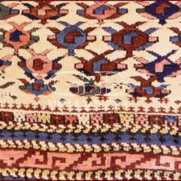 antique shirvan kuba rug