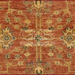 ziegler farahan