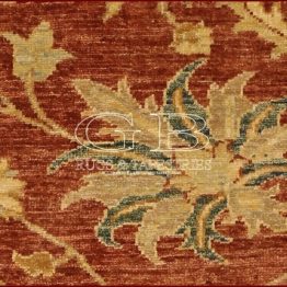 ziegler farahan