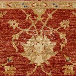 ziegler farahan