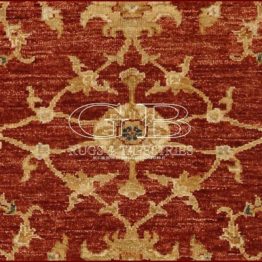 ziegler farahan