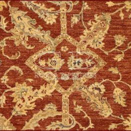 ziegler farahan