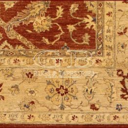 ziegler farahan