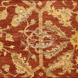 ziegler farahan