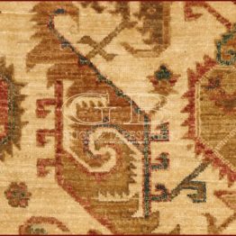 ziegler farahan