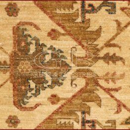 ziegler farahan