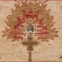 ziegler farahan