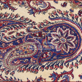 ravar kerman rug
