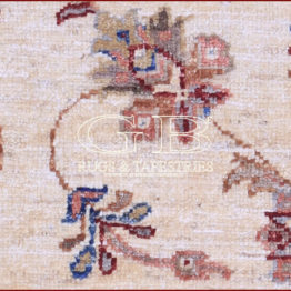 ziegler farahan