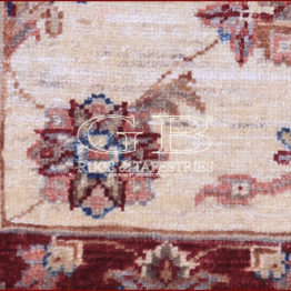 ziegler farahan