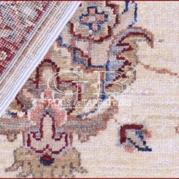 ziegler farahan