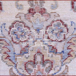 ziegler farahan