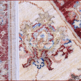 ziegler farahan