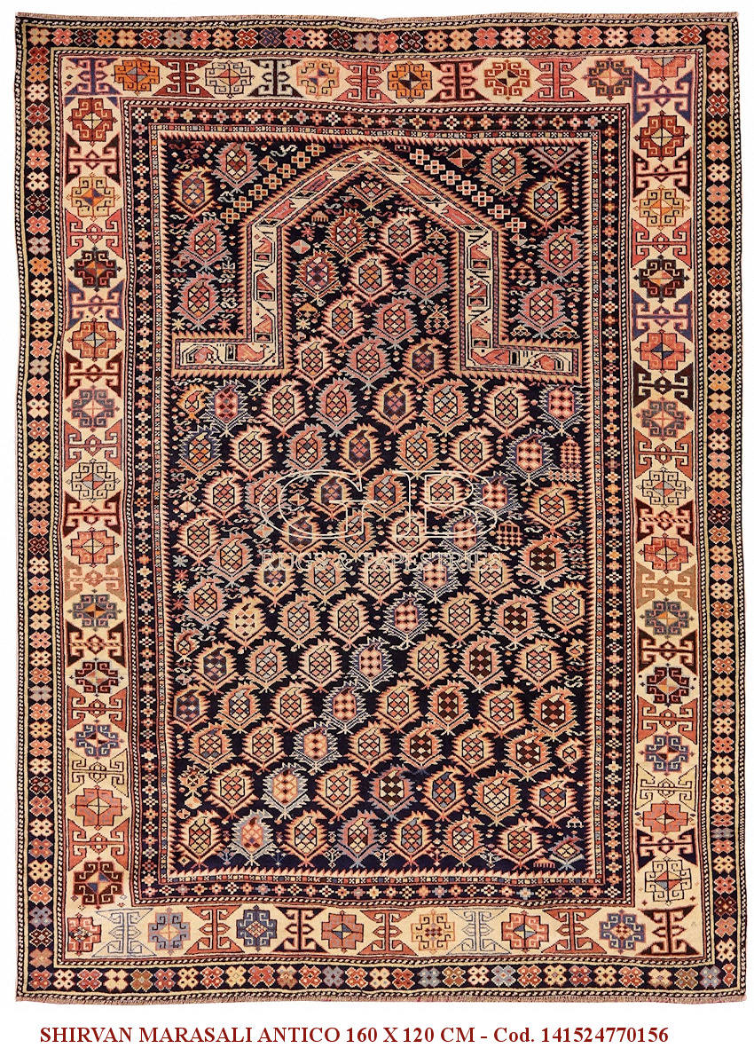 SHIRVAN MARASALI ANTICO